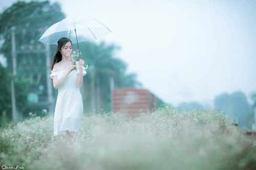 Sức hút của cô gái xứ Chè tại Người đẹp ảnh Việt Nam 2019